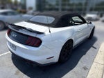 2017 Mustang Thumbnail 4