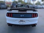 2017 Mustang Thumbnail 6