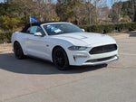 2019 Mustang Thumbnail 2