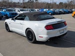 2019 Mustang Thumbnail 6