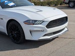 2019 Mustang Thumbnail 10