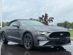 2020 Mustang Thumbnail 1