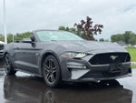 2020 Mustang Thumbnail 2