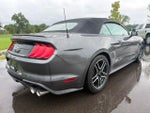 2020 Mustang Thumbnail 10