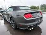 2020 Mustang Thumbnail 15