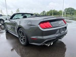 2020 Mustang Thumbnail 16