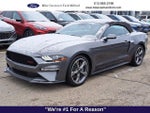 2023 Mustang Thumbnail 1