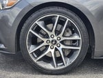 2016 Mustang Thumbnail 11