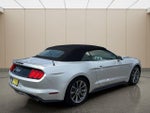 2016 Mustang Thumbnail 3