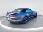 2017 Mustang Thumbnail 1