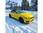 2017 Mustang Thumbnail 11