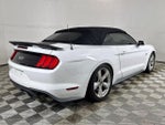 2018 Mustang Thumbnail 3