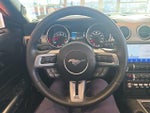 2022 Mustang Thumbnail 18
