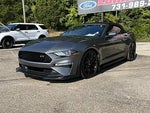 2022 Mustang Thumbnail 3