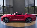 2023 Mustang Thumbnail 5