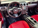 2023 Mustang Thumbnail 15