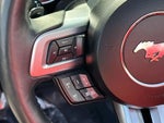 2023 Mustang Thumbnail 17