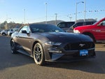 2023 Mustang Thumbnail 5