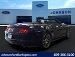 2015 Mustang Thumbnail 11