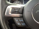 2015 Mustang Thumbnail 17