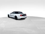 2019 Mustang Thumbnail 3