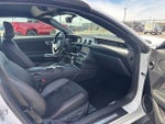 2019 Mustang Thumbnail 9