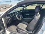 2019 Mustang Thumbnail 13