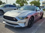 2019 Mustang Thumbnail 7
