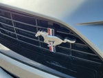 2019 Mustang Thumbnail 11