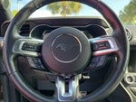 2019 Mustang Thumbnail 25