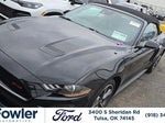 2022 Mustang Thumbnail 1