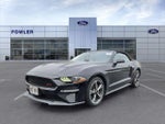 2022 Mustang Thumbnail 3