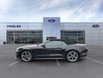 2022 Mustang Thumbnail 4