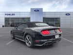 2022 Mustang Thumbnail 5