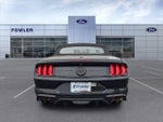 2022 Mustang Thumbnail 6