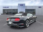 2022 Mustang Thumbnail 7