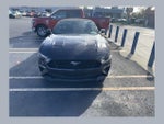2022 Mustang Thumbnail 1