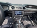 2023 Mustang Thumbnail 13