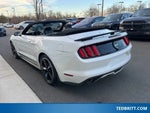 2017 Mustang Thumbnail 4