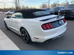 2017 Mustang Thumbnail 11