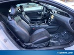 2017 Mustang Thumbnail 16