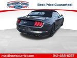 2018 Mustang Thumbnail 4