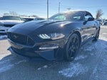 2019 Mustang Thumbnail 1