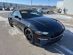 2019 Mustang Thumbnail 7