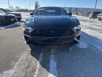 2019 Mustang Thumbnail 8