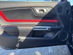 2019 Mustang Thumbnail 11