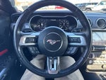 2019 Mustang Thumbnail 14