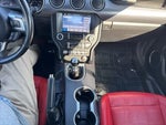 2019 Mustang Thumbnail 20
