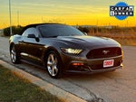 2015 Mustang Thumbnail 7