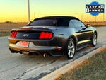 2015 Mustang Thumbnail 9